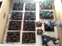 "Vue d’ensemble des Forces des abysses Gelées" par Pignouf